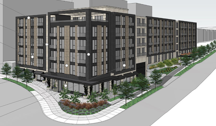 SRM Polynesia Bellevue